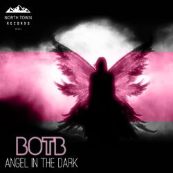 Cover of Angel In The Dark