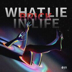 Cover of What 'lie' in Life