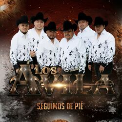 Cover of Seguimos De Pie