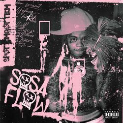 Cover of Sosa Flow