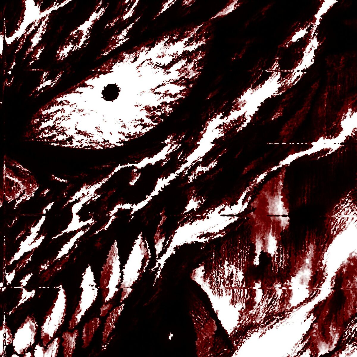 Album cover of Risada