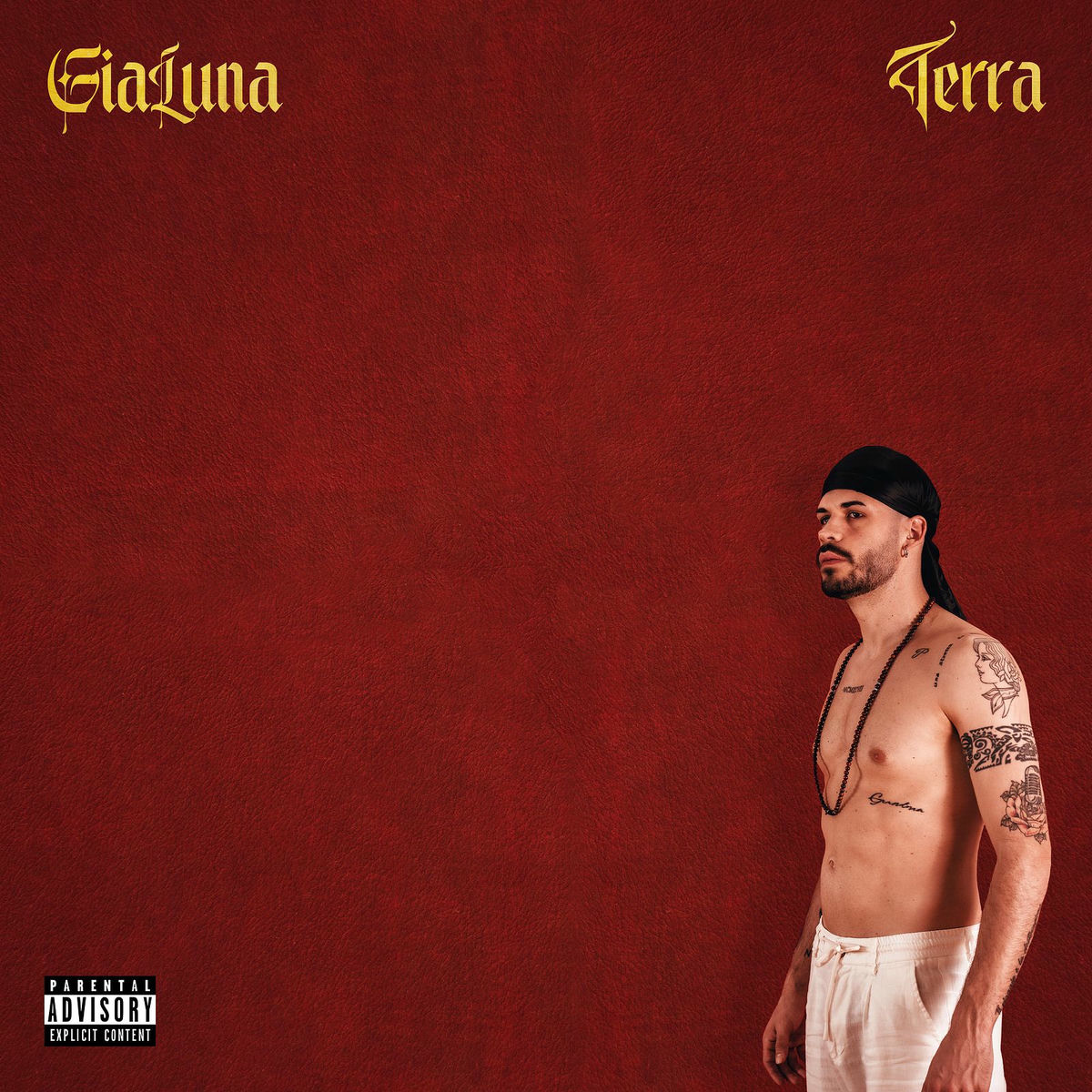 Album cover of Terra