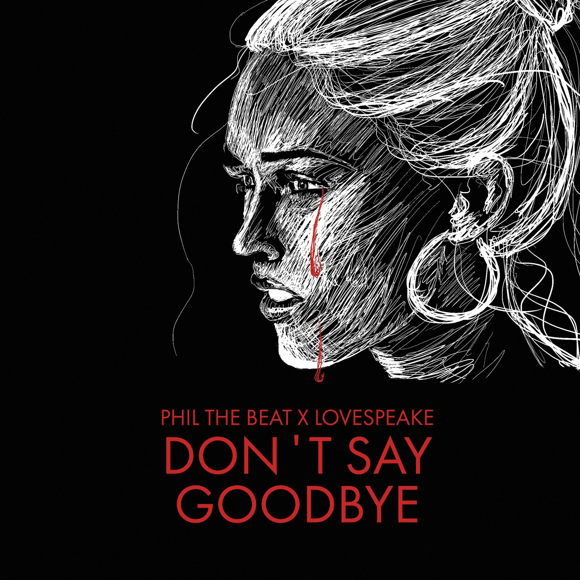 Album cover of Don't Say Goodbye