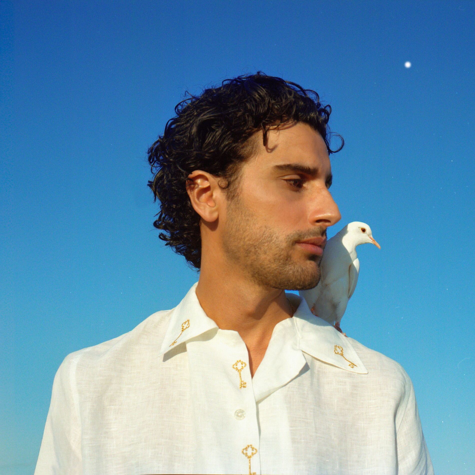 Album cover of Nostalgia Forever