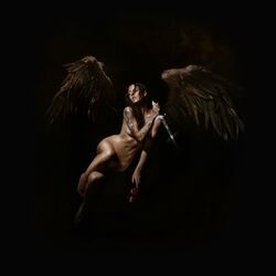 Cover of Fly