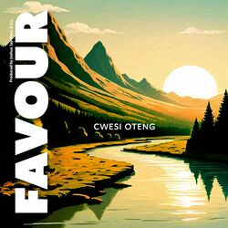 Cover of Favour