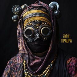 Cover of TIPALIPA
