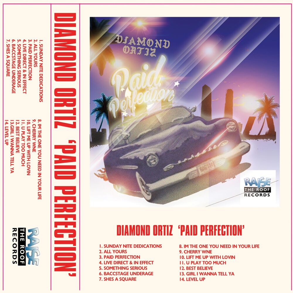 Picture of Paid Perfection