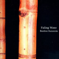 Cover of Falling Water