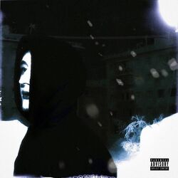 Cover of Хром