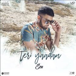 Cover of Teri Yaadan