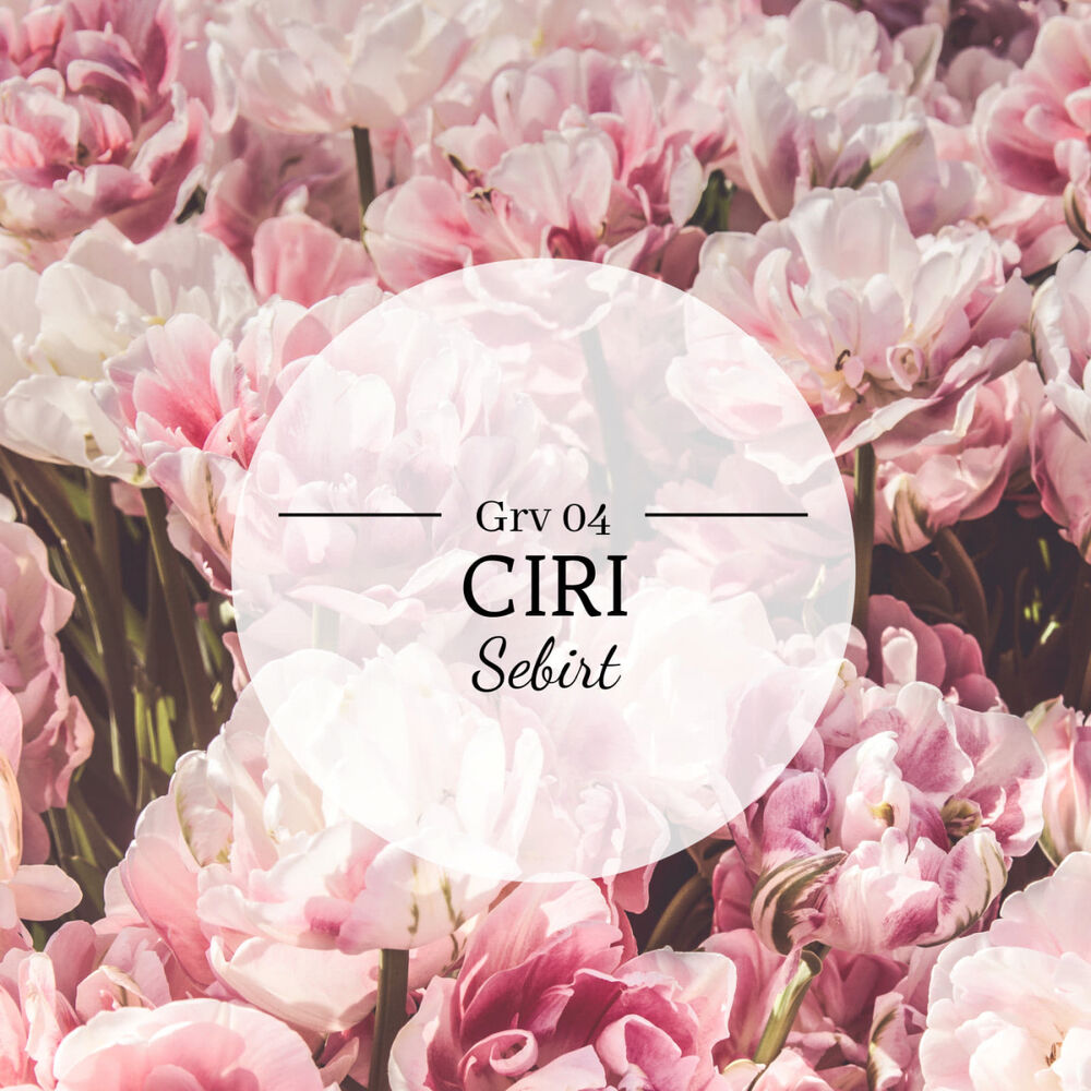 Picture of Sebrit