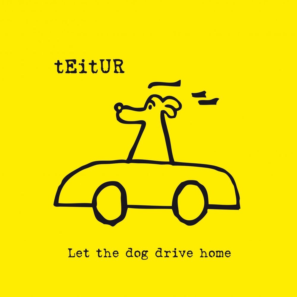Picture of Let the Dog Drive Home