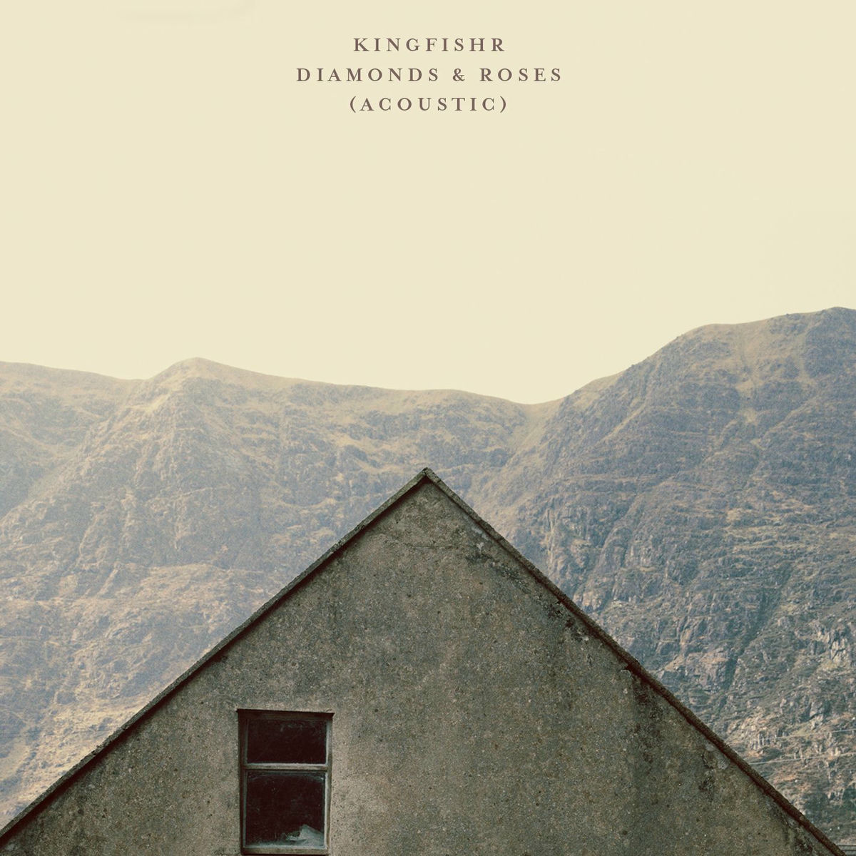 Album cover of Diamonds & Roses (Acoustic)