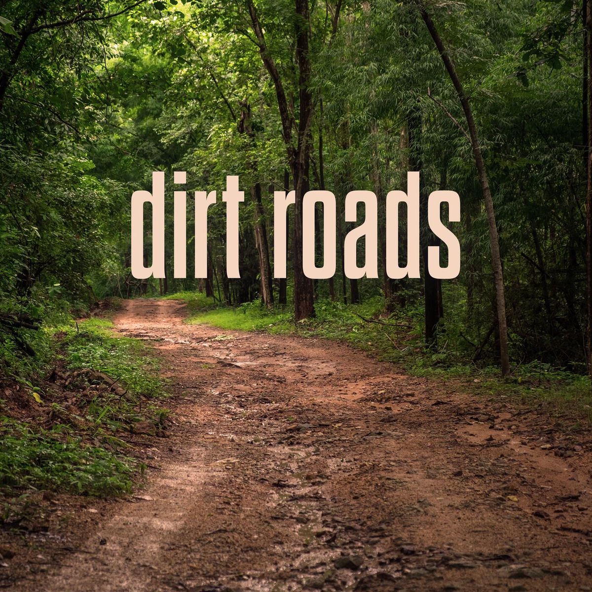 Album cover of dirt roads