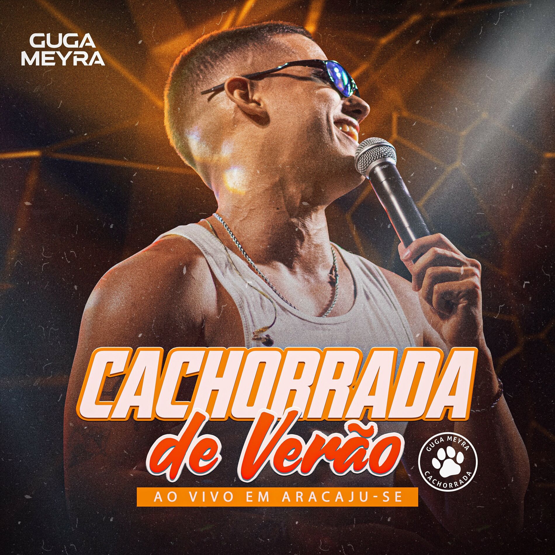 Album cover of CACHORRADA DE VERÃO
