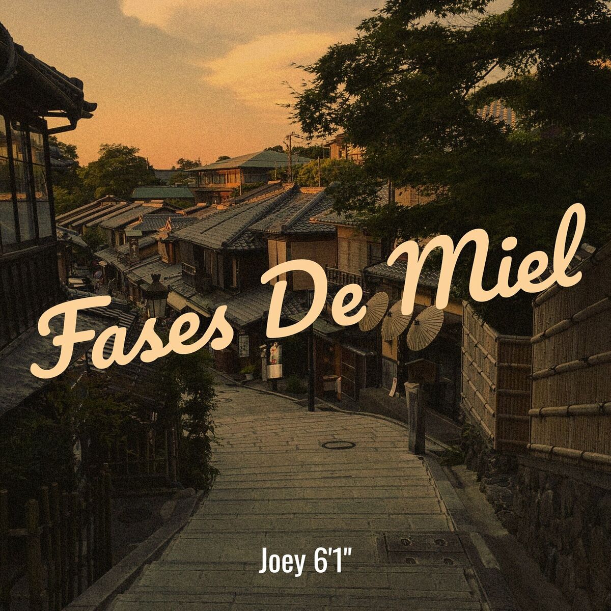 Album cover of Fases De Miel