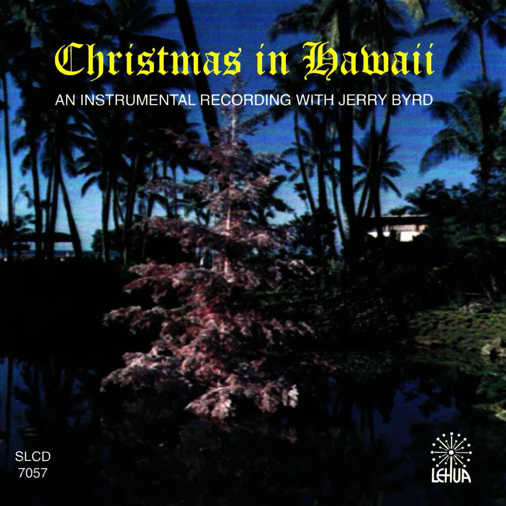 Picture of Christmas in Hawaii