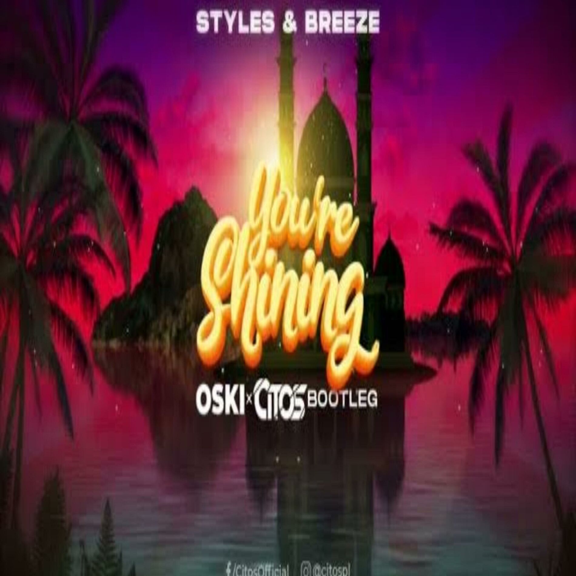 Album cover of You're Shining (feat. Oski)