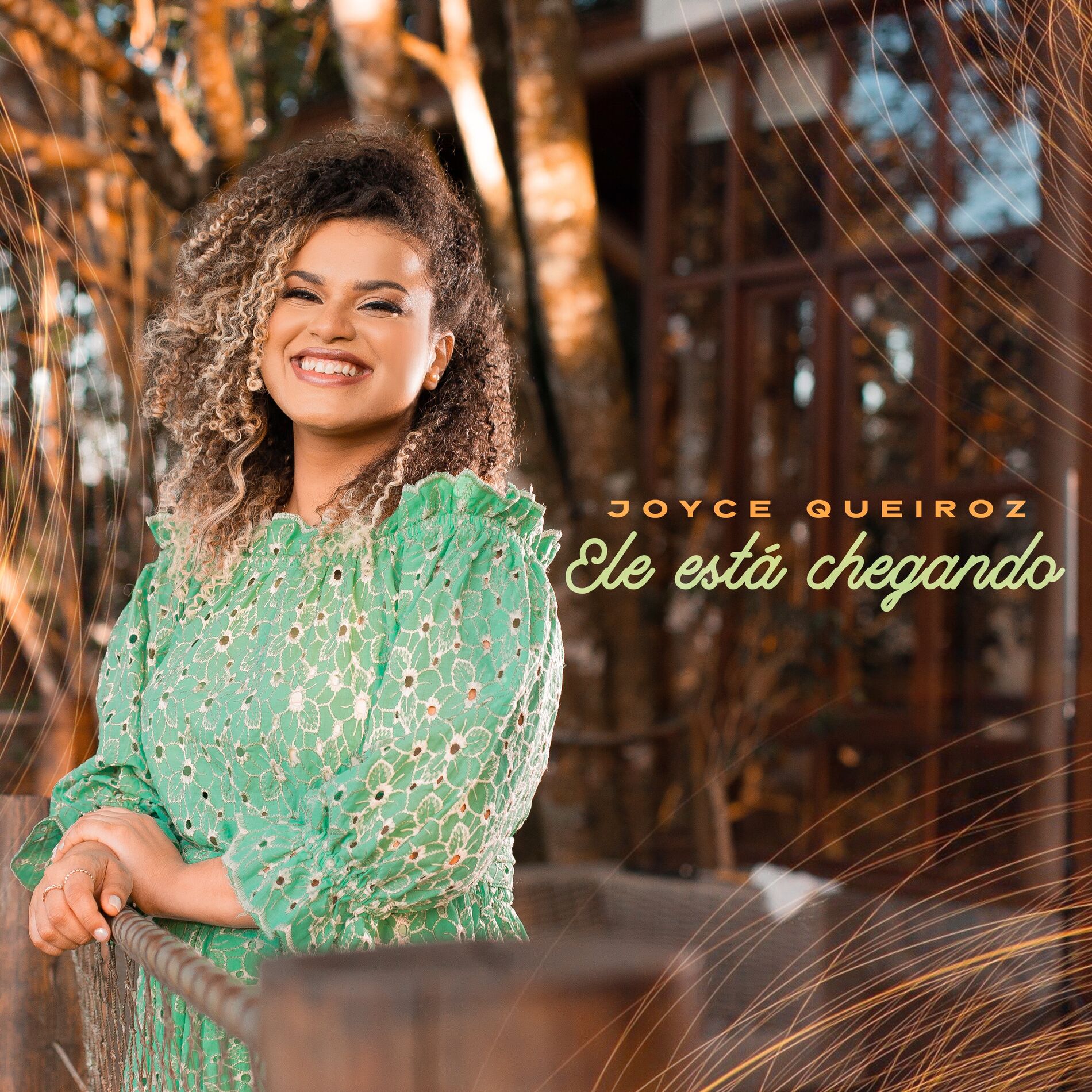 Album cover of Ele Está Chegando