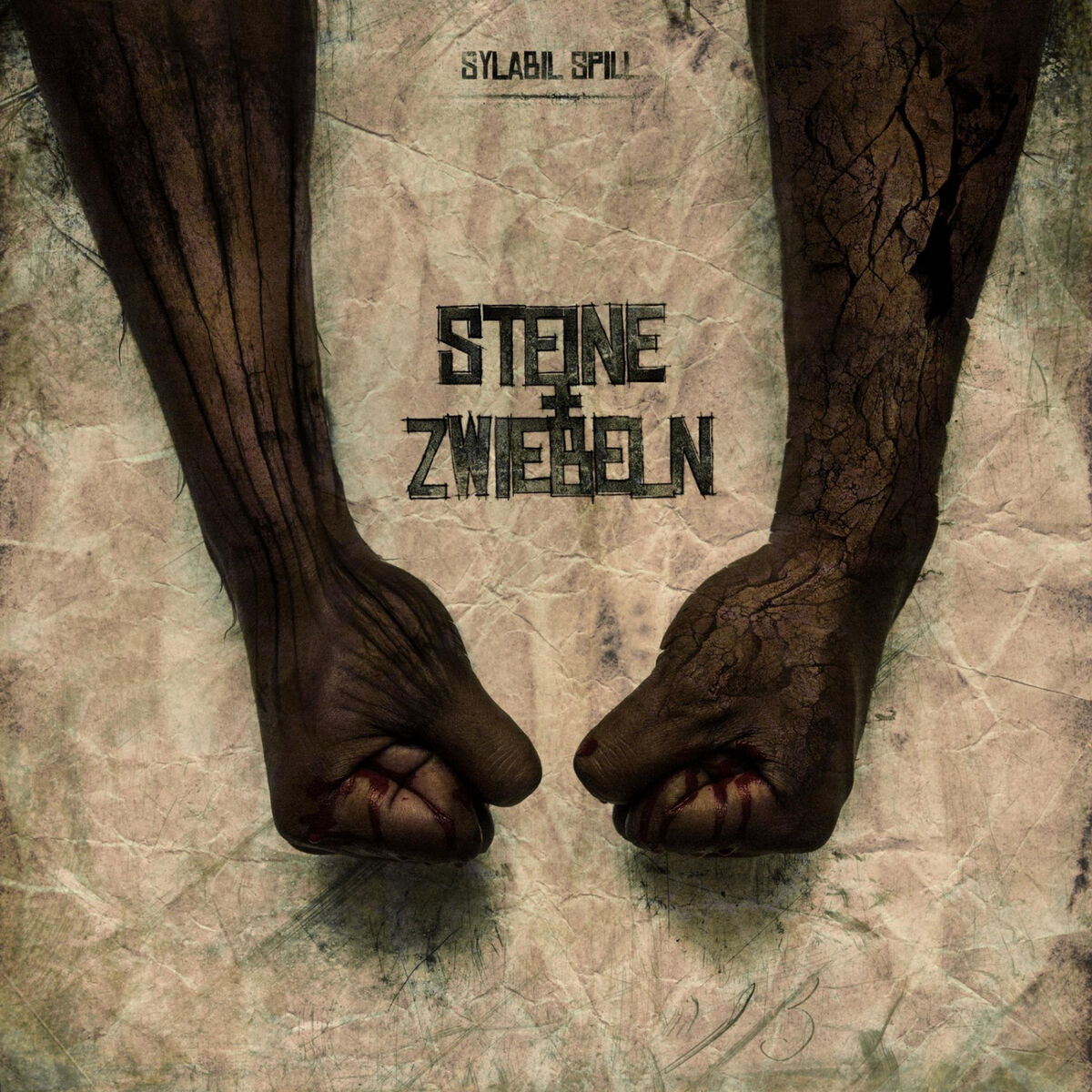 Album cover of Steine & Zwiebeln (Deluxe version)