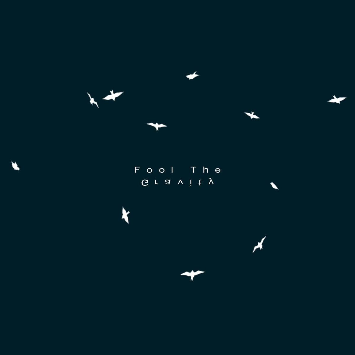Album cover of Fool the Gravity