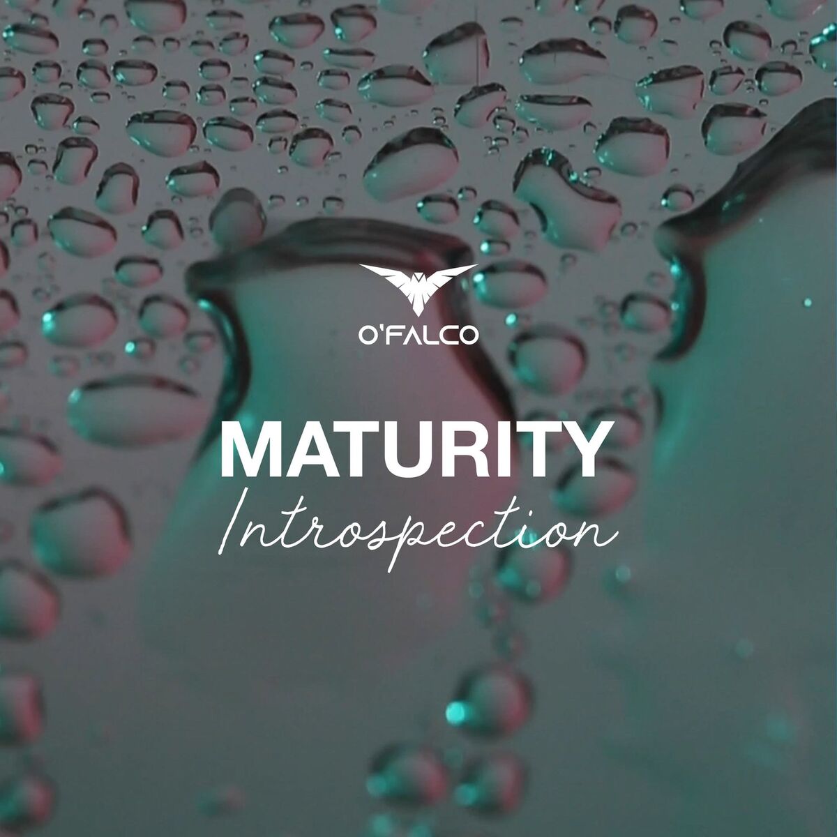 Album cover of Maturity (Introspection)