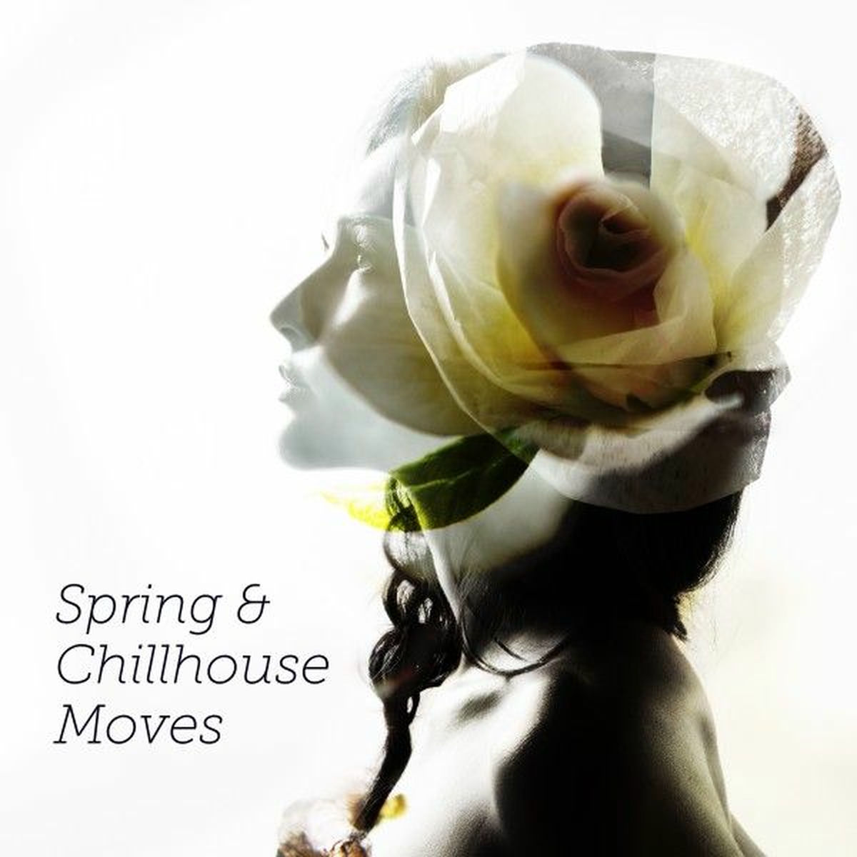 Album cover of Spring & Chillhouse Moves