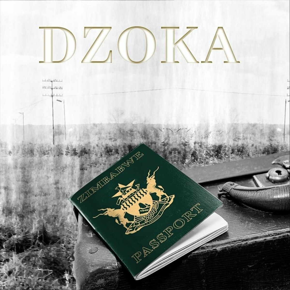 Album cover of Dzoka