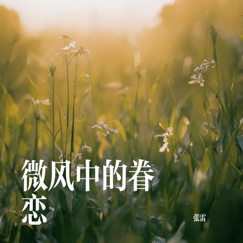 微风中的眷恋