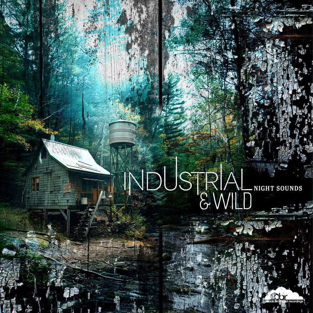 Picture of Industrial & Wild