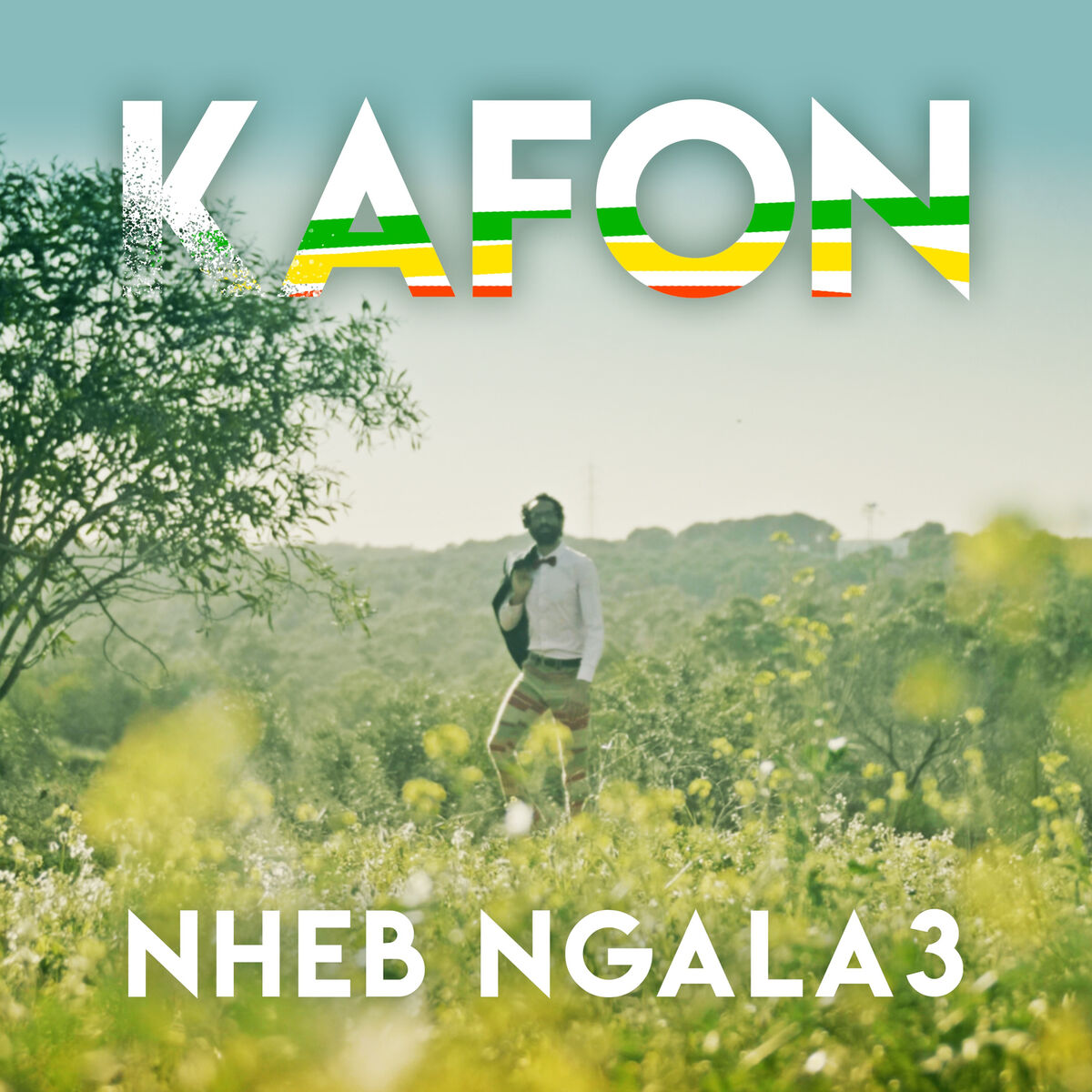 Album cover of Nheb Ngala3