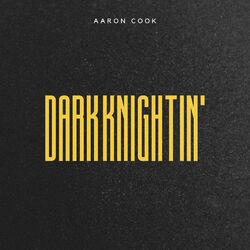Cover of Dark Knightin'