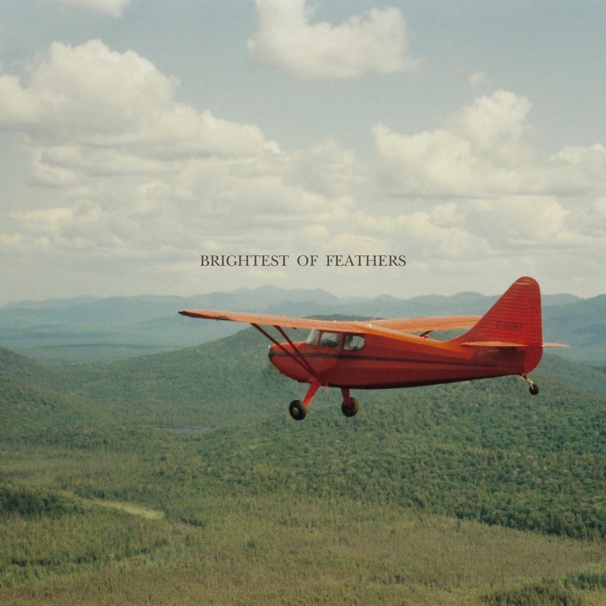 Album cover of Brightest of Feathers