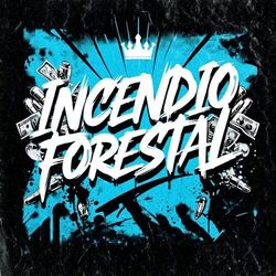 Cover of INCENDIO FORESTAL