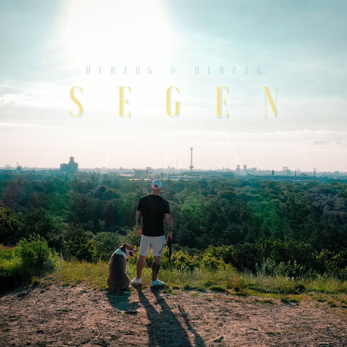 Album cover of Segen