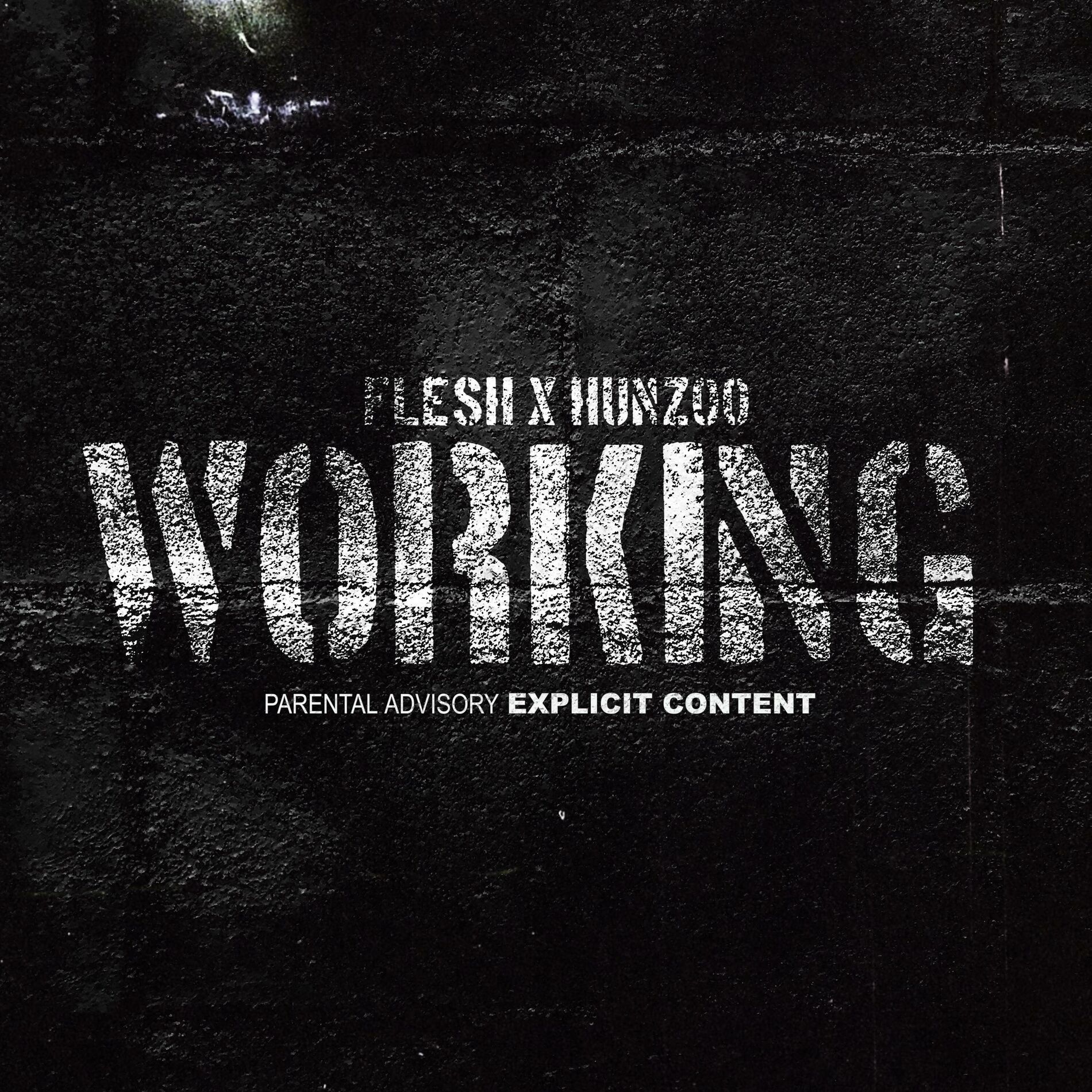 Album cover of Working (feat. Flesh)
