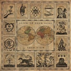 Cover of True View