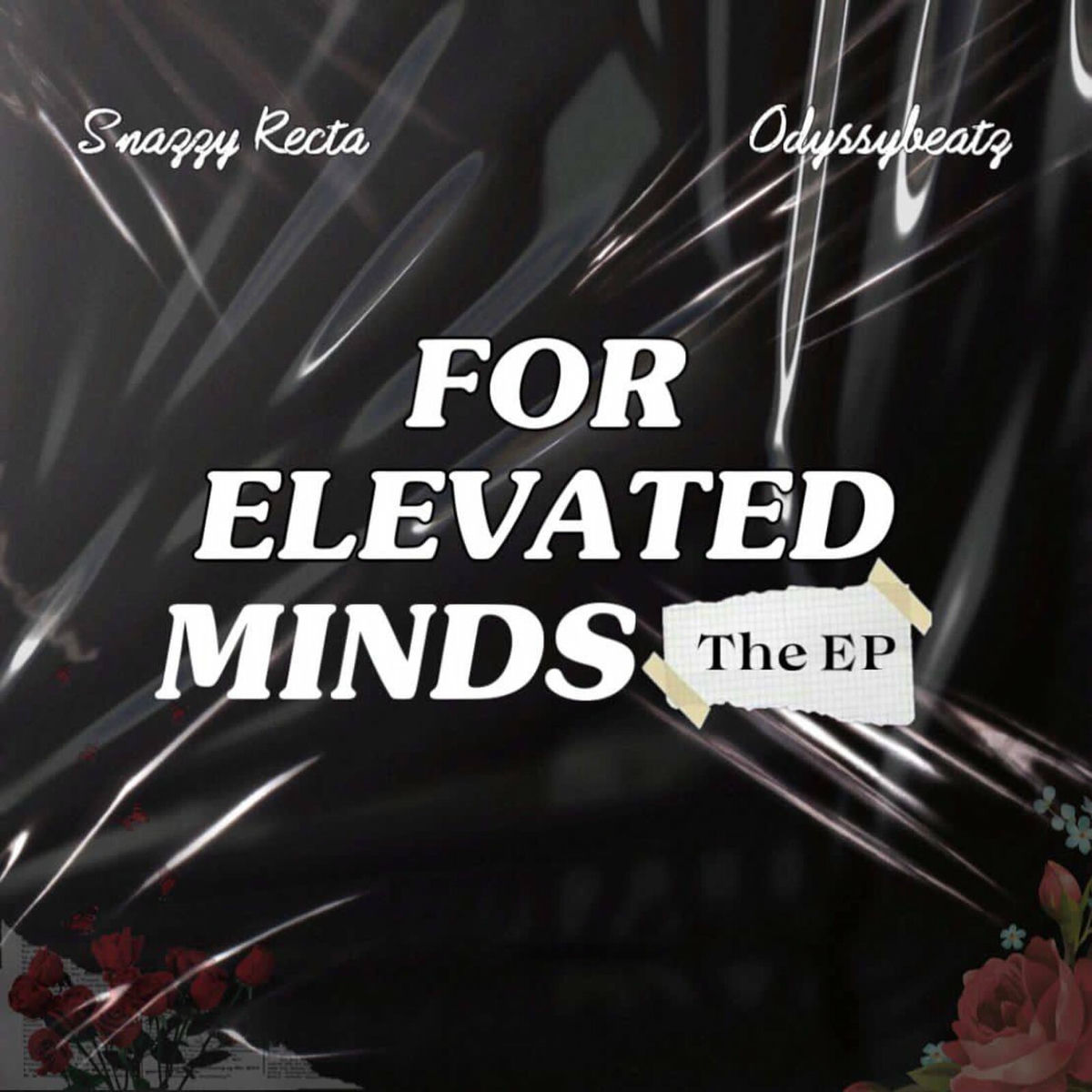 Album cover of For Elevated Minds
