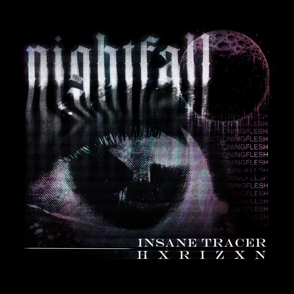 Picture of NIGHTFALL
