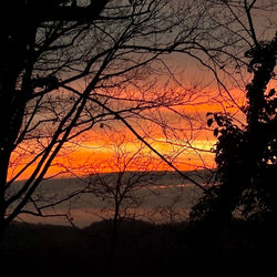 Cover of moving on by undefined