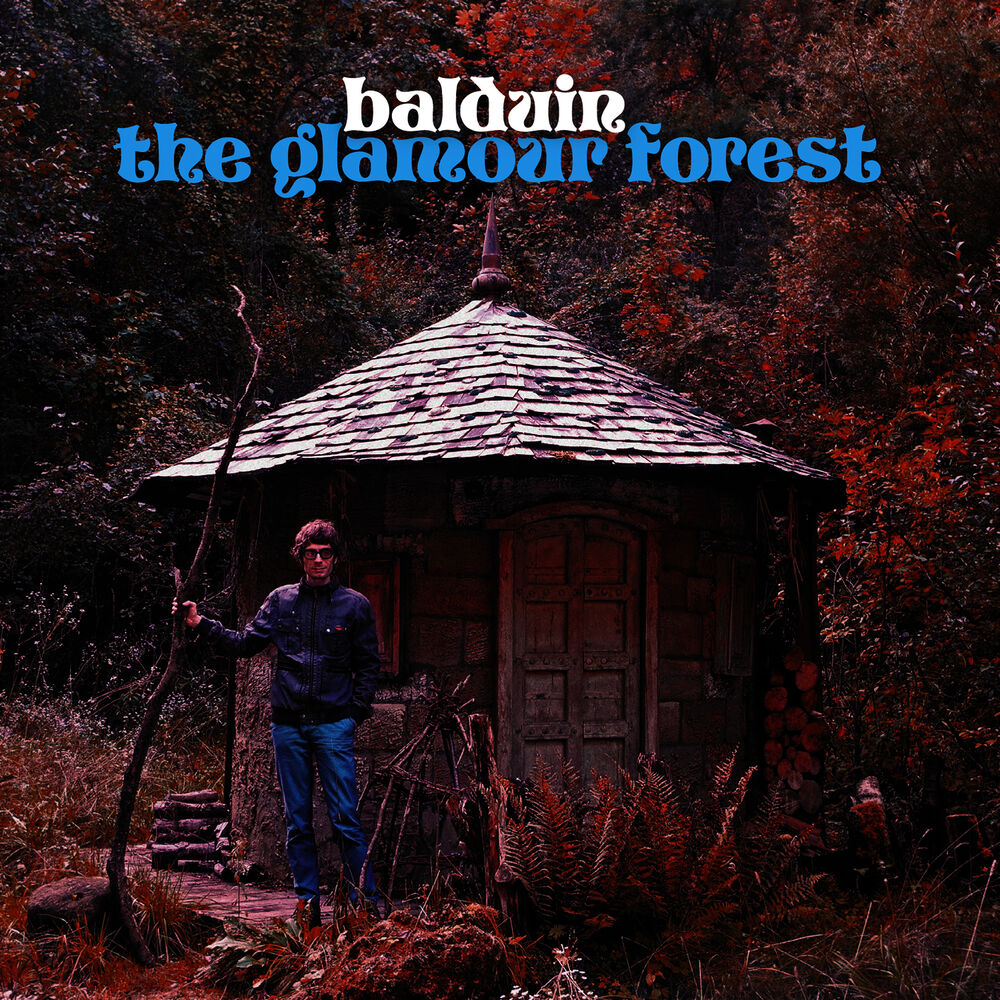 Picture of The Glamour Forest