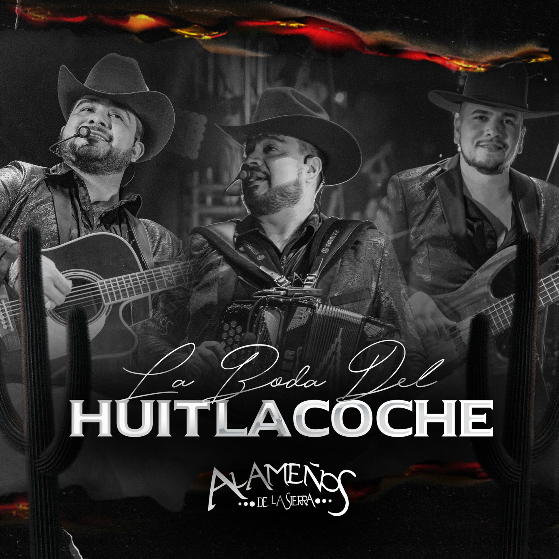 Album cover of La Boda del Huitlacoche