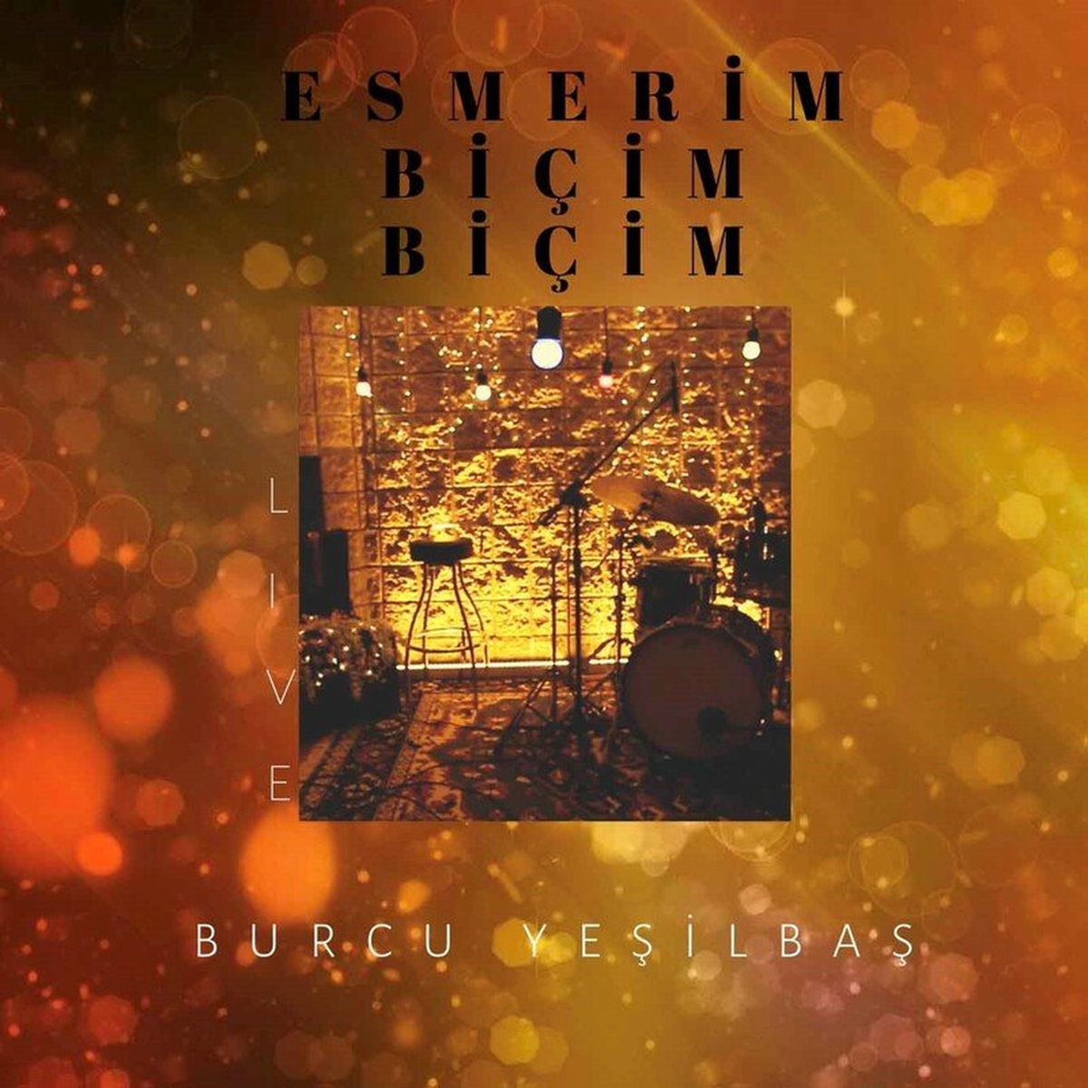 Album cover of Esmerim Biçim Biçim