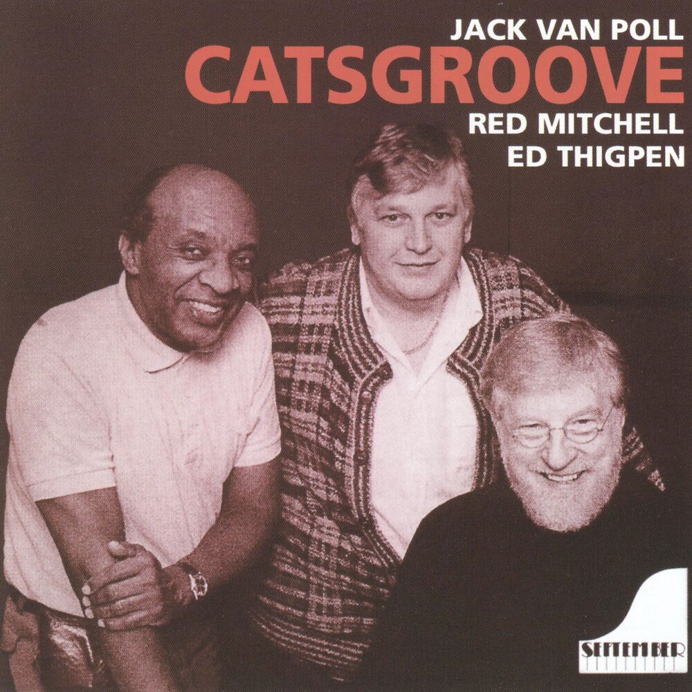 Picture of Cats Groove