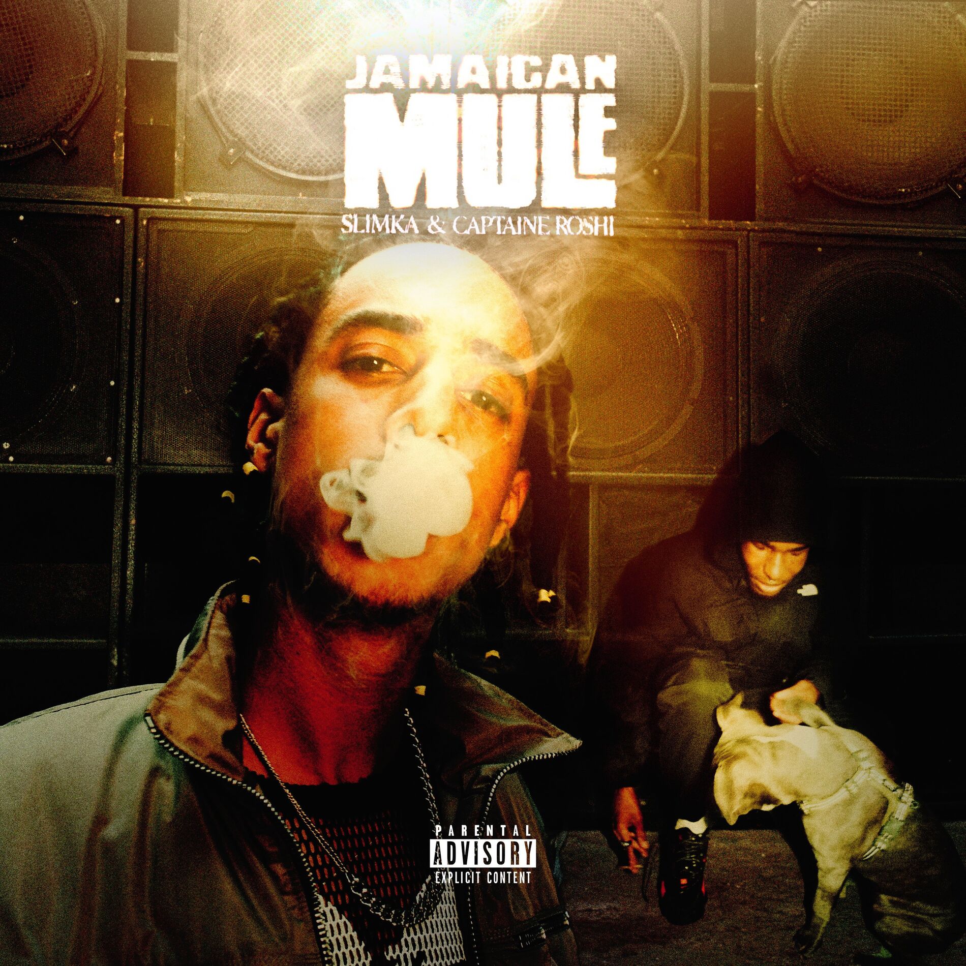 Album cover of Jamaican Mule
