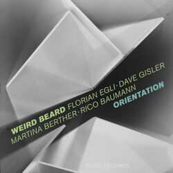 Cover of Orientation