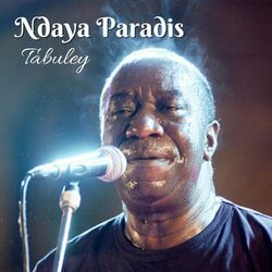 Cover of Ndaya Paradis