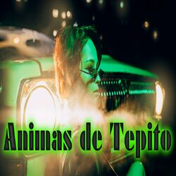Cover of Animas de Tepito