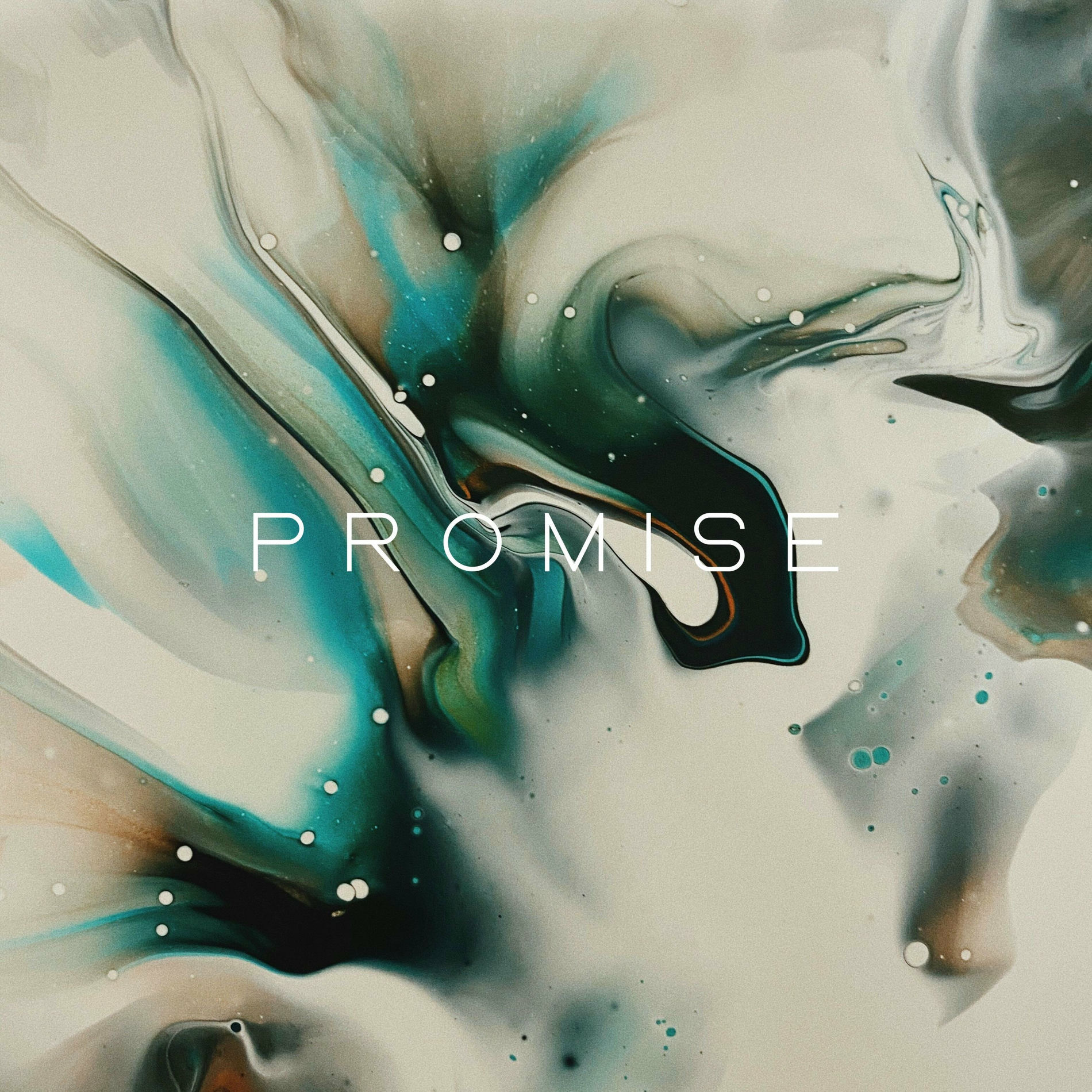 Album cover of Promise